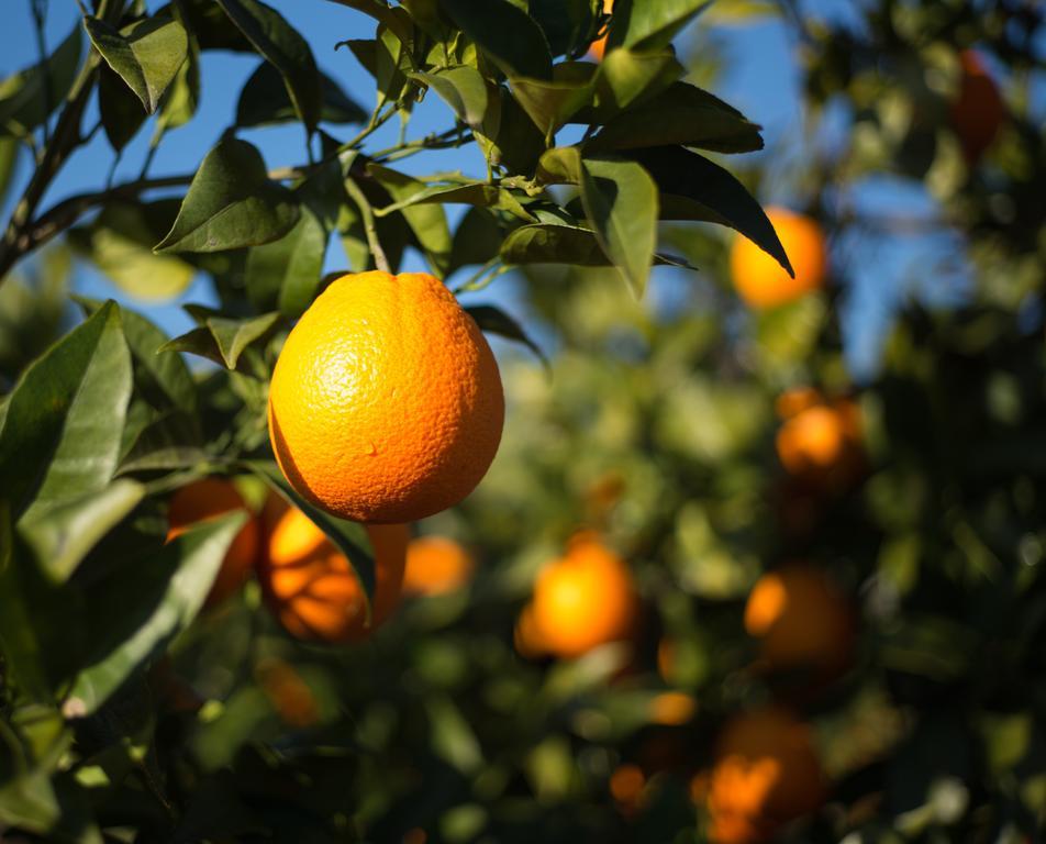 Вілла Casita Naranja Алора Номер фото